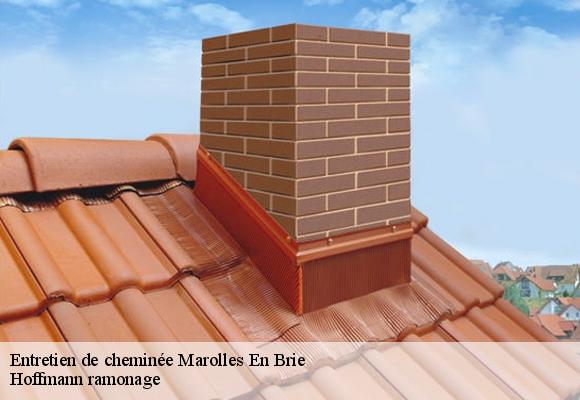 Entretien de cheminée marolles-en-brie-94440 Hoffmann ramonage