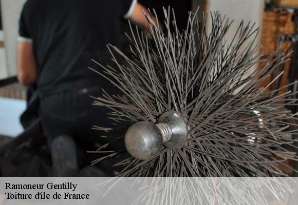 Ramoneur  gentilly-94250 Toiture d'ile de France