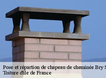 Pose et répartion de chapeau de cheminée  bry-sur-marne-94360 Toiture d'ile de France