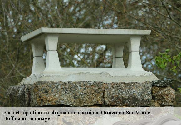 Pose et répartion de chapeau de cheminée ormesson-sur-marne-94490 Hoffmann ramonage