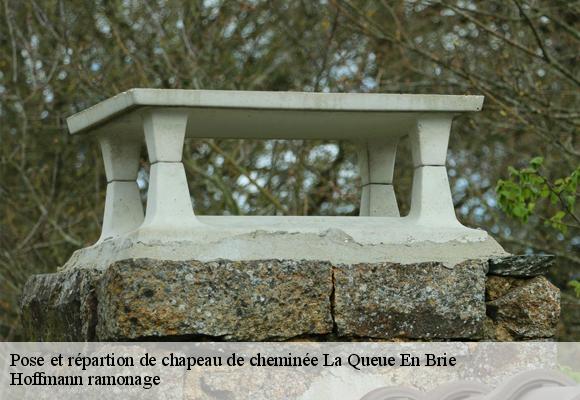 Pose et répartion de chapeau de cheminée la-queue-en-brie-94510 Hoffmann ramonage
