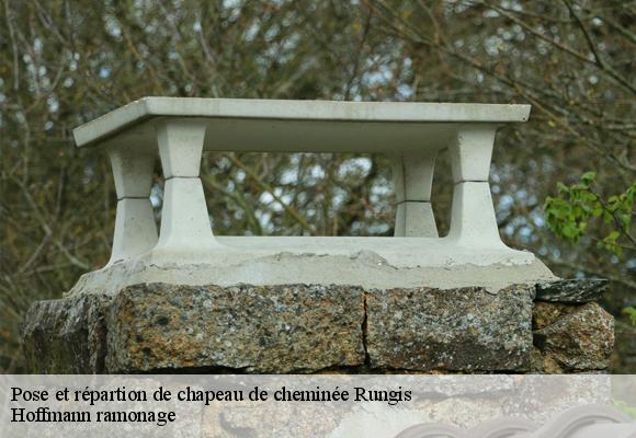 Pose et répartion de chapeau de cheminée rungis-94150 Hoffmann ramonage